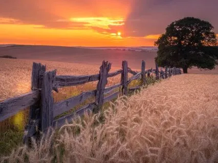 End Of Day Meditation