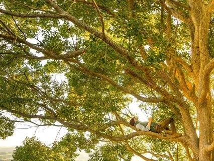 End Of Day | Slow Down Reset & Release | 17 Mins