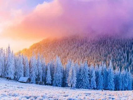 End Of Scarcity Mindset With Tuning Forks For Abundance