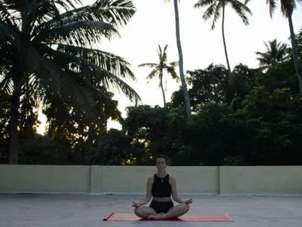 End of the Day Gentle Vinyasa Flow