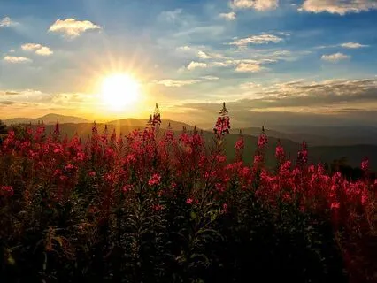 End Of The Day Gratitude Meditation