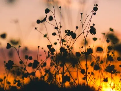 End Of The Day - Mini Meditations