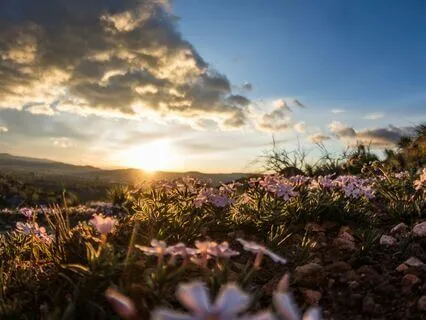 End Of The Day Prayer