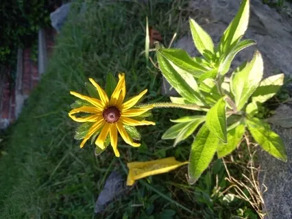 End Of The Year gratitude