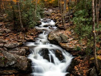 End Of Year Reflect & Release Meditation