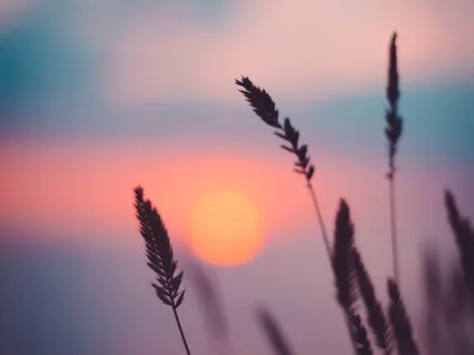 End Your Day By Celebrating