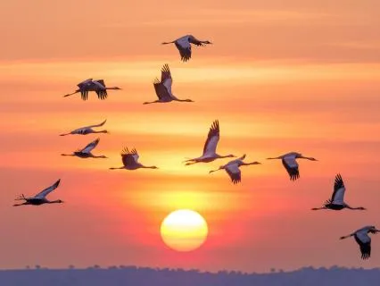 End Your Day With Gratitude (Evening Routine)