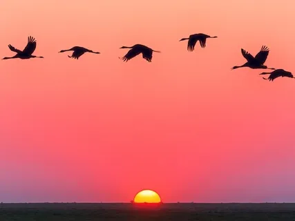 End Your Day With This Guided Meditation