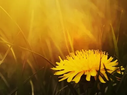 Ending Self Destructive Behavior