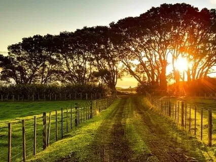 Ending The Day With Gratitude