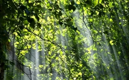 Ending The Day With Gratitude