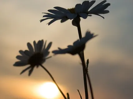 Ending The Day With Gratitude