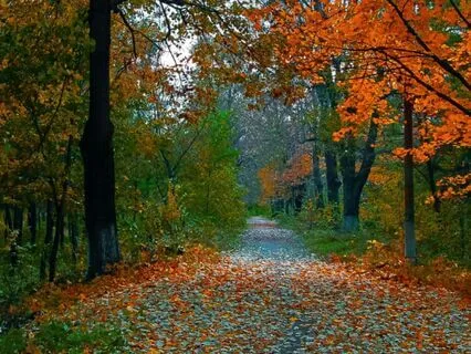 Ending The Day With Gratitude