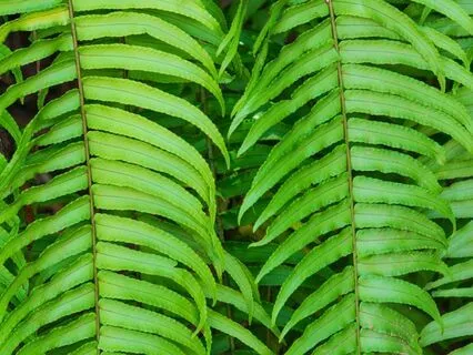 Ending Your Day With Gratitude - Power Punch