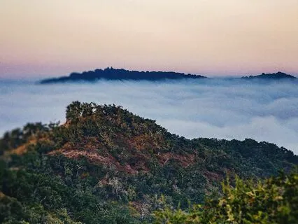 Endless Field (Guided Meditation)