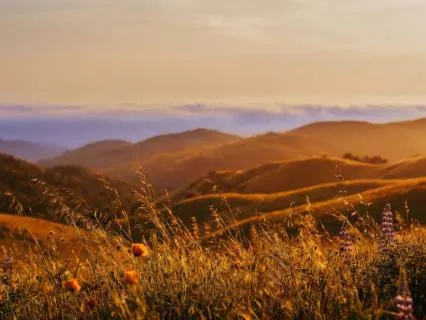 Focus Music — Endless Light (Ambient Electronic)
