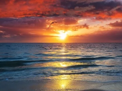 Endless Ocean Of Dreams