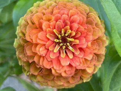 Endless Universe: Deep Relaxation Soundscape