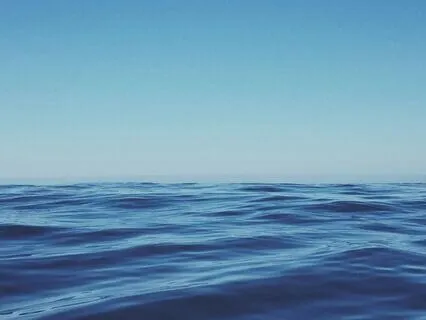 Endocrine System (Thyroid) Support