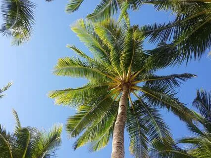 Endometriosis Meditation - A Near Breath Experience