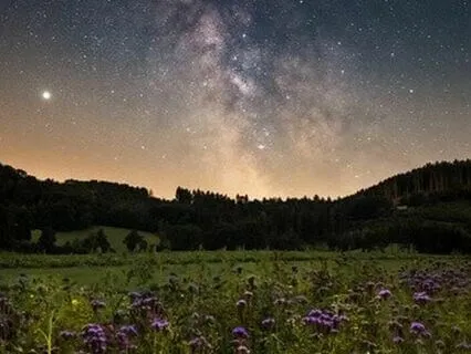 Short Endometriosis Meditation Before Bed