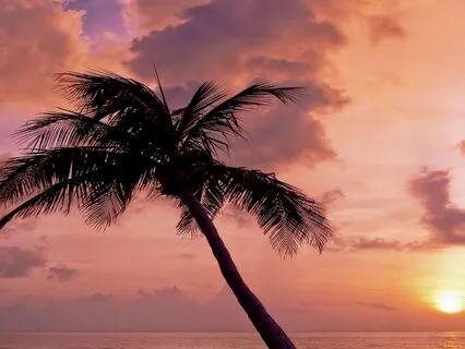 Endometriosis Meditation - A Thousand Times Goodnight