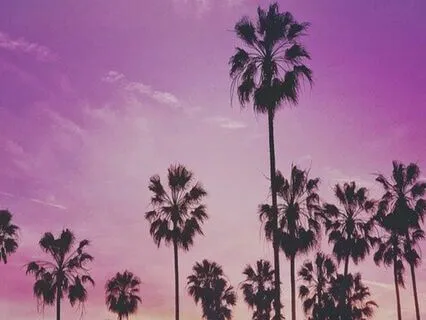 Endometriosis Meditation -Affirmations For When Life Is Hard