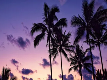 Endometriosis Meditation - Bedtime Breaths