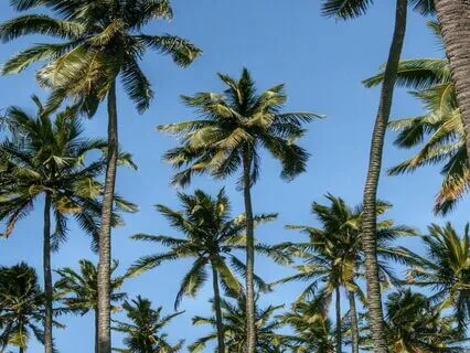 Endometriosis Meditation - Body Scan To Melt Away Pain