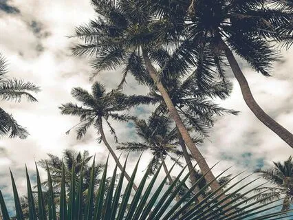 Endometriosis Meditation - Fighting Fatigue