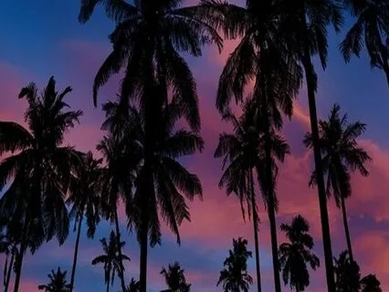 Endometriosis Meditation - For The Busy Days