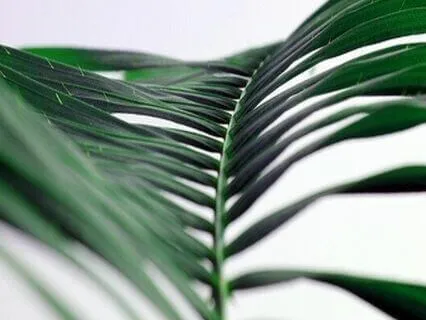 Endometriosis Talk & Meditation - For The Really Bad Days