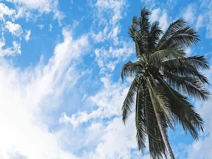 Endometriosis Meditation - Imagine It Going Well