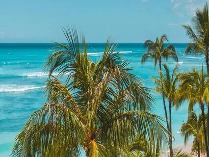 Endometriosis Meditation - In Five Years' Time