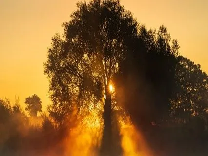 Endometriosis Meditation - In The Heat Of Pain