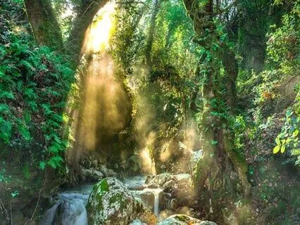 Endometriosis Meditation - Pain Relief Visualisation