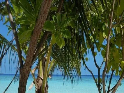 Endometriosis Meditation - Just Breathe