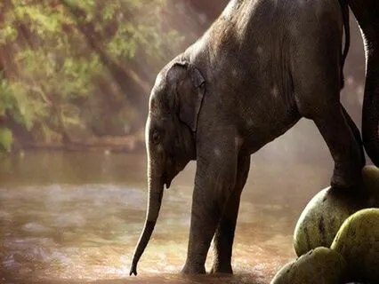 Endometriosis Meditation - Loving-Kindness & Self-Compassion