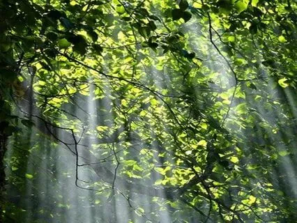 Endometriosis Meditation - Mantra For Relief