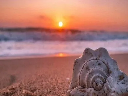 Endometriosis Meditation - Quick Anxiety And Stress Buster