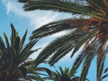 Endometriosis Meditation - Quick Confidence Affirmations