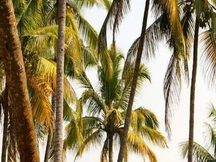 Endometriosis Meditation - Riding The Pain Wave