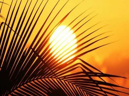 Endometriosis Meditation - To Love Your Body Again