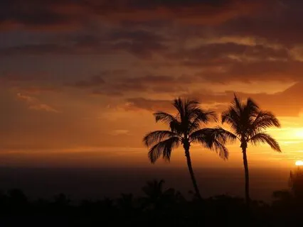 Endometriosis Meditation - To Sleep, Perchance To Dream