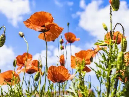 Endorphin Raising Practice To Lift Your Mood