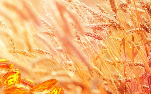 Energetic Bank Account Clearing Meditation 