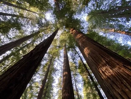 Energetic Cleansing Sound Bath