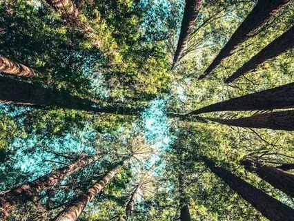 Energetic Containers