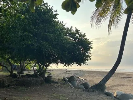 Energetic Cord Cutting For Relationships/Friendships