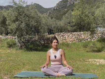 Energetic Full-Body Vinyasa - Crow Flow